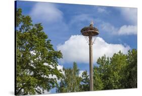 Europe, Germany, Brandenburg, Spreewald (Spree Forest), Storchennest, Stork-Chris Seba-Stretched Canvas