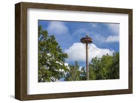 Europe, Germany, Brandenburg, Spreewald (Spree Forest), Storchennest, Stork-Chris Seba-Framed Photographic Print