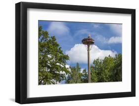 Europe, Germany, Brandenburg, Spreewald (Spree Forest), Storchennest, Stork-Chris Seba-Framed Photographic Print