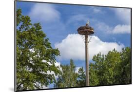 Europe, Germany, Brandenburg, Spreewald (Spree Forest), Storchennest, Stork-Chris Seba-Mounted Photographic Print