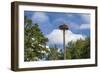 Europe, Germany, Brandenburg, Spreewald (Spree Forest), Storchennest, Stork-Chris Seba-Framed Photographic Print