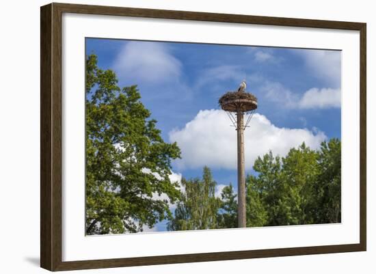 Europe, Germany, Brandenburg, Spreewald (Spree Forest), Storchennest, Stork-Chris Seba-Framed Photographic Print