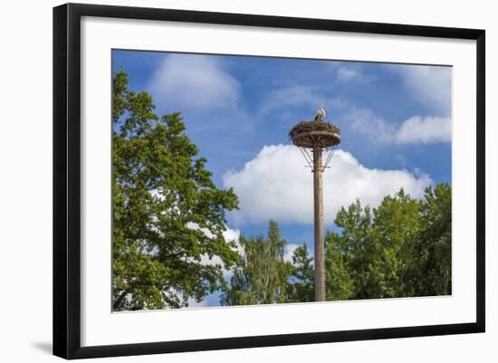 Europe, Germany, Brandenburg, Spreewald (Spree Forest), Storchennest, Stork-Chris Seba-Framed Photographic Print