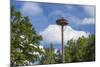 Europe, Germany, Brandenburg, Spreewald (Spree Forest), Storchennest, Stork-Chris Seba-Mounted Photographic Print