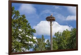 Europe, Germany, Brandenburg, Spreewald (Spree Forest), Storchennest, Stork-Chris Seba-Framed Photographic Print