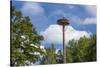 Europe, Germany, Brandenburg, Spreewald (Spree Forest), Storchennest, Stork-Chris Seba-Stretched Canvas