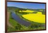 Europe, Germany, Eastern Westphalia, Rape Fields, Excursion Boat, Weser Course, Canoeist, Jetty-Chris Seba-Framed Photographic Print