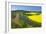 Europe, Germany, Eastern Westphalia, Rape Fields, Holiday Ship, Weser Course, Canoeist, Jetty-Chris Seba-Framed Photographic Print