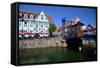 Europe, Germany, Elde Muritz Waterway-Rainer Waldkirch-Framed Stretched Canvas