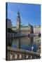 Europe, Germany, Hamburg, Townhall-Chris Seba-Stretched Canvas