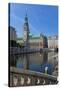 Europe, Germany, Hamburg, Townhall-Chris Seba-Stretched Canvas