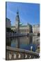 Europe, Germany, Hamburg, Townhall-Chris Seba-Stretched Canvas