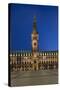 Europe, Germany, Hanseatic Town, Hamburg, Townhall-Chris Seba-Stretched Canvas