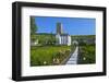 Europe, Germany, Hesse, Rheingau (Area), RŸdesheim on the Rhine-Chris Seba-Framed Photographic Print