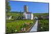 Europe, Germany, Hesse, Rheingau (Area), RŸdesheim on the Rhine-Chris Seba-Mounted Photographic Print