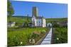 Europe, Germany, Hesse, Rheingau (Area), RŸdesheim on the Rhine-Chris Seba-Mounted Photographic Print