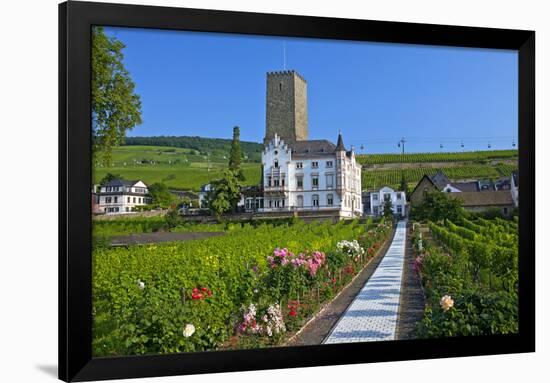 Europe, Germany, Hesse, Rheingau (Area), RŸdesheim on the Rhine-Chris Seba-Framed Photographic Print