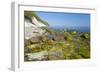 Europe, Germany, Mecklenburg-Western Pomerania, Baltic Sea Island RŸgen, Chalk Cliffs-Chris Seba-Framed Photographic Print