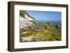 Europe, Germany, Mecklenburg-Western Pomerania, Baltic Sea Island RŸgen, Chalk Cliffs-Chris Seba-Framed Photographic Print