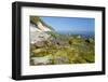 Europe, Germany, Mecklenburg-Western Pomerania, Baltic Sea Island RŸgen, Chalk Cliffs-Chris Seba-Framed Photographic Print