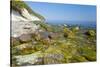 Europe, Germany, Mecklenburg-Western Pomerania, Baltic Sea Island RŸgen, Chalk Cliffs-Chris Seba-Stretched Canvas