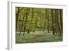 Europe, Germany, Mecklenburg-Western Pomerania, Baltic Sea Island RŸgen, Forest Path-Chris Seba-Framed Photographic Print