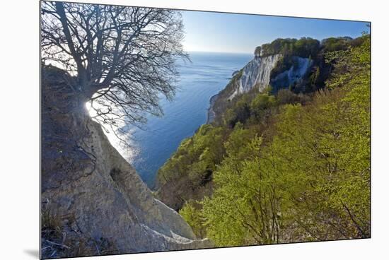 Europe, Germany, Mecklenburg-Western Pomerania, Island RŸgen, Chalk Cliff-Chris Seba-Mounted Premium Photographic Print