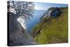 Europe, Germany, Mecklenburg-Western Pomerania, Island RŸgen, Chalk Cliff-Chris Seba-Stretched Canvas