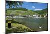 Europe, Germany, Rhineland-Palatinate, Bernkastel-Kues at Moselle River, Riverbank-Chris Seba-Mounted Photographic Print