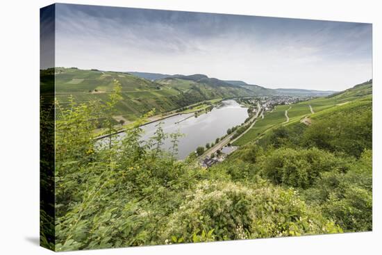 Europe, Germany, Rhineland-Palatinate, District Bernkastel Wittlich-Udo Bernhart-Stretched Canvas