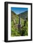 Europe, Germany, Rhineland-Palatinate, District Cochem-Zell-Udo Bernhart-Framed Photographic Print