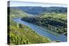 Europe, Germany, Rhineland-Palatinate, District Cochem-Zell-Udo Bernhart-Stretched Canvas