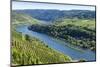 Europe, Germany, Rhineland-Palatinate, District Cochem-Zell-Udo Bernhart-Mounted Photographic Print