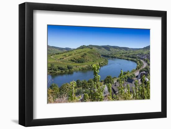 Europe, Germany, Rhineland-Palatinate, District Cochem-Zell-Udo Bernhart-Framed Photographic Print