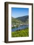 Europe, Germany, Rhineland-Palatinate, District Cochem-Zell-Udo Bernhart-Framed Photographic Print