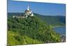 Europe, Germany, Rhineland-Palatinate, Middle Rhine Valley, Marksburg (Castle) over the Rhine-Chris Seba-Mounted Photographic Print