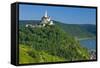 Europe, Germany, Rhineland-Palatinate, Middle Rhine Valley, Marksburg (Castle) over the Rhine-Chris Seba-Framed Stretched Canvas