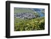 Europe, Germany, Rhineland-Palatinate, Roman Wine Road-Udo Bernhart-Framed Photographic Print