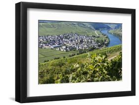 Europe, Germany, Rhineland-Palatinate, Roman Wine Road-Udo Bernhart-Framed Photographic Print