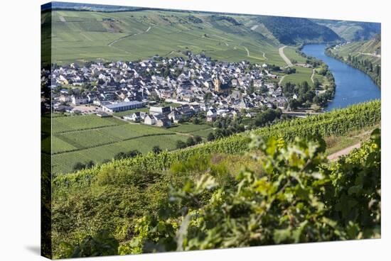 Europe, Germany, Rhineland-Palatinate, Roman Wine Road-Udo Bernhart-Stretched Canvas