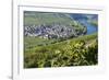 Europe, Germany, Rhineland-Palatinate, Roman Wine Road-Udo Bernhart-Framed Photographic Print