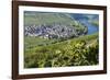 Europe, Germany, Rhineland-Palatinate, Roman Wine Road-Udo Bernhart-Framed Photographic Print