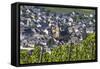 Europe, Germany, Rhineland-Palatinate, Roman Wine Road-Udo Bernhart-Framed Stretched Canvas