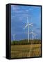 Europe, Germany, Saxony-Anhalt, Magdeburg Bšrde, Wind Turbines-Chris Seba-Framed Stretched Canvas