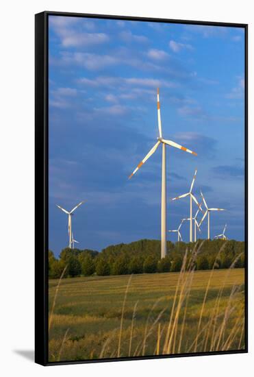 Europe, Germany, Saxony-Anhalt, Magdeburg Bšrde, Wind Turbines-Chris Seba-Framed Stretched Canvas