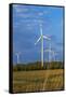 Europe, Germany, Saxony-Anhalt, Magdeburg Bšrde, Wind Turbines-Chris Seba-Framed Stretched Canvas