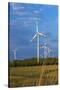Europe, Germany, Saxony-Anhalt, Magdeburg Bšrde, Wind Turbines-Chris Seba-Stretched Canvas