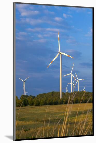 Europe, Germany, Saxony-Anhalt, Magdeburg Bšrde, Wind Turbines-Chris Seba-Mounted Photographic Print
