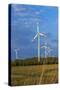 Europe, Germany, Saxony-Anhalt, Magdeburg Bšrde, Wind Turbines-Chris Seba-Stretched Canvas