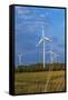 Europe, Germany, Saxony-Anhalt, Magdeburg Bšrde, Wind Turbines-Chris Seba-Framed Stretched Canvas